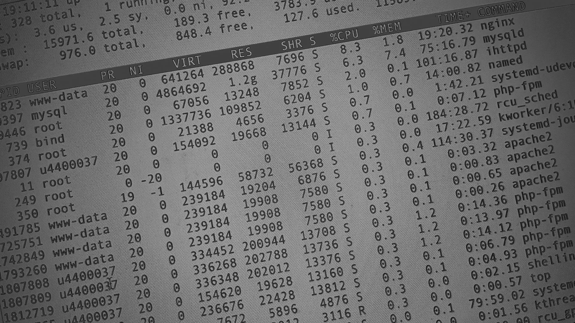 Настройка сервера в Чекалине