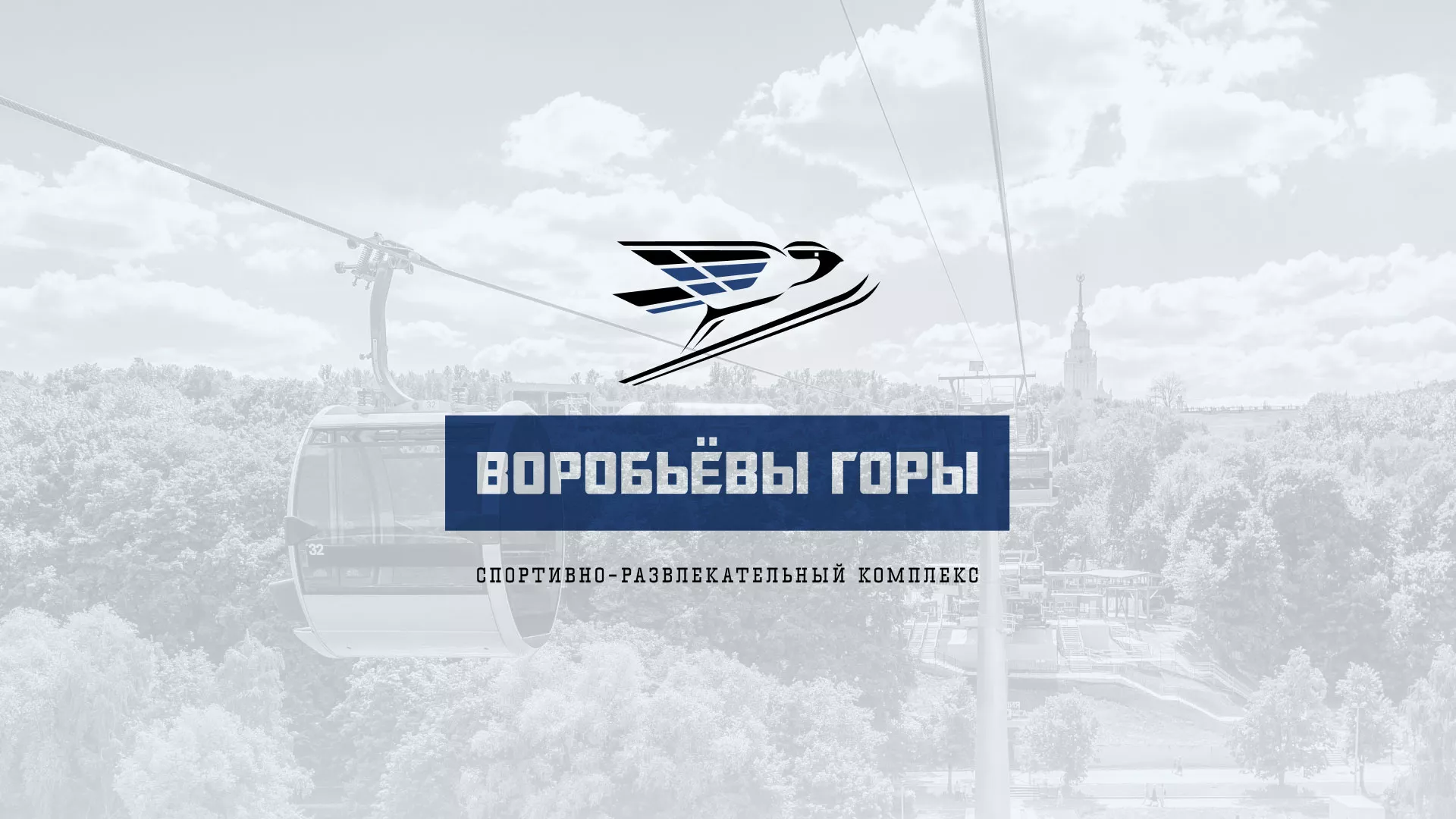 Разработка сайта в Чекалине для спортивно-развлекательного комплекса «Воробьёвы горы»